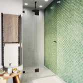 Frameless Glass Wall to Wall Shower Screen Door and Hinge Panel - 2000mm high, 10mm Toughened Glass - Matt Black