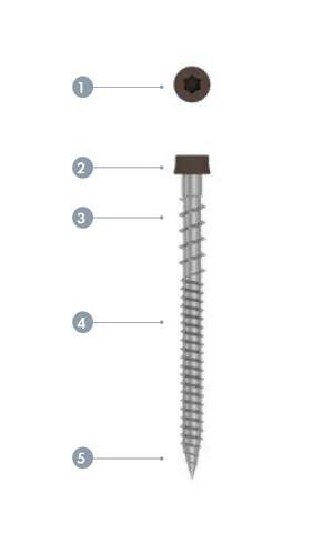 Starborn™ CAP-TOR® dual thread screws 100 PACK,