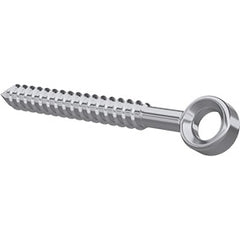 Lag eye screw
