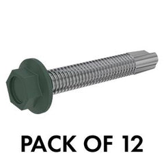 Hinge panel brace screws 12Gx40MM - 12 PACK